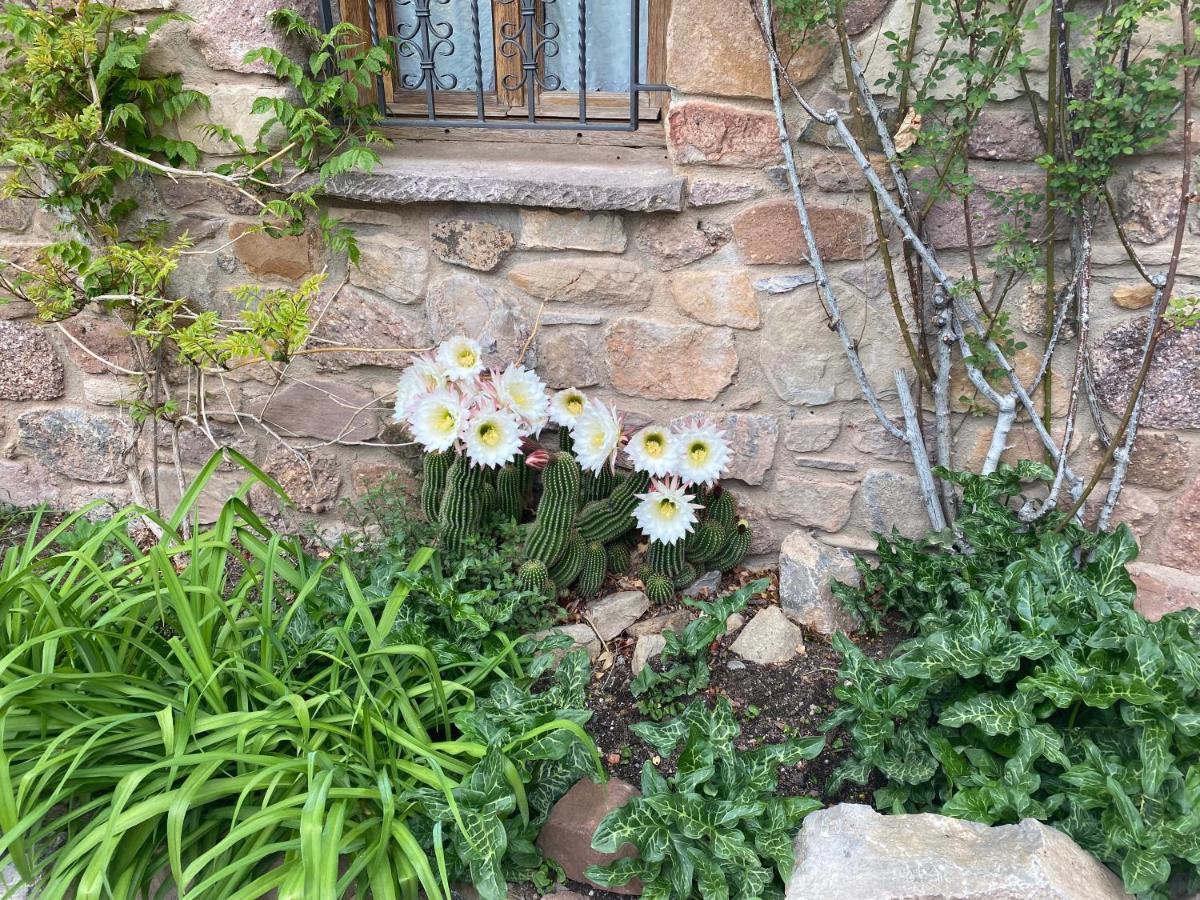 Era De Trespui En Pirineos Villa Peramea Екстериор снимка
